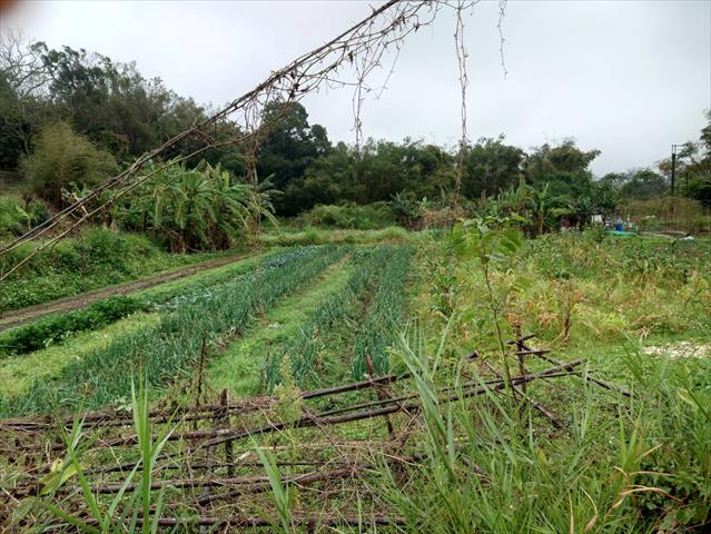 生產者圖片