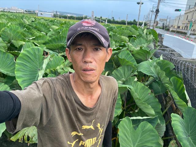生產者圖片