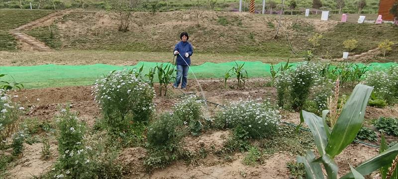 生產者圖片