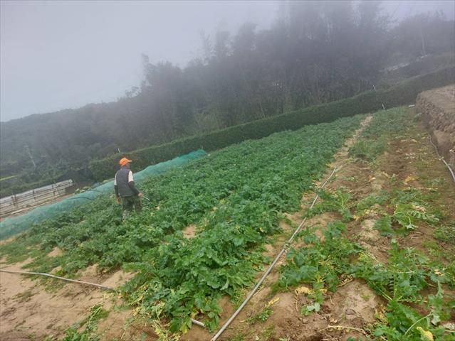 生產者圖片