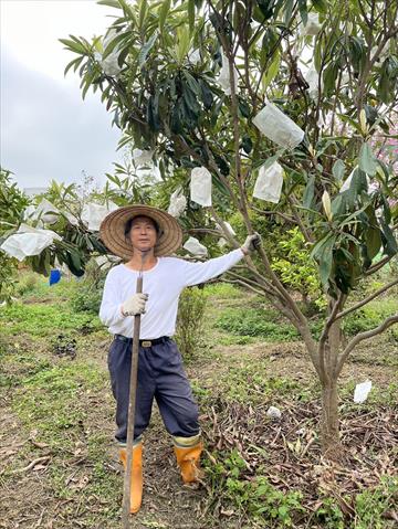 生產者圖片