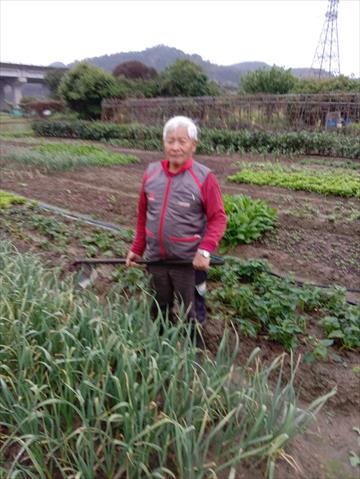 生產者圖片