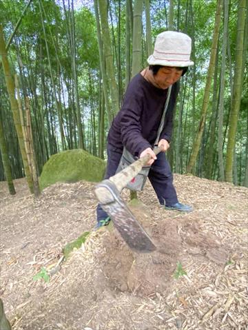 生產者圖片