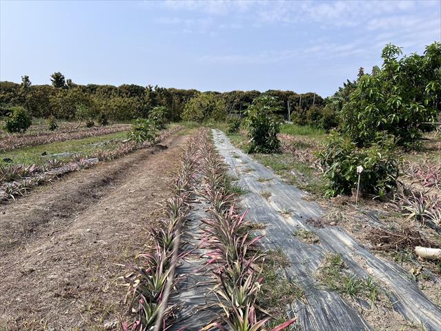 生產者圖片