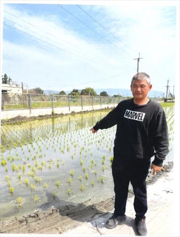 生產者圖片