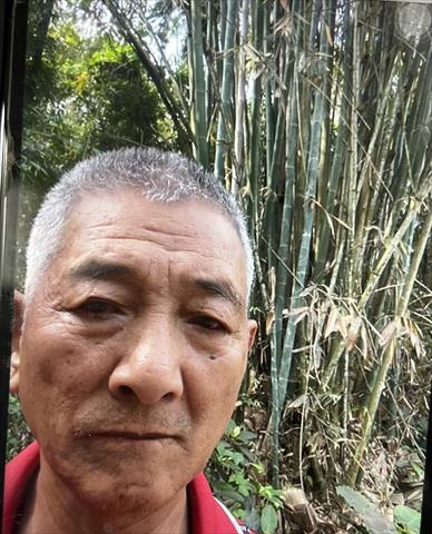 生產者圖片