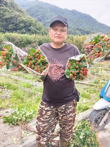 生產者圖片