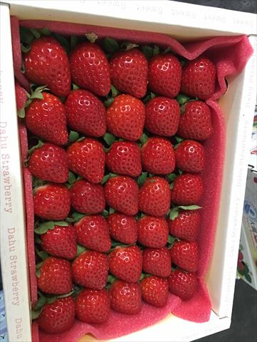 生產者圖片