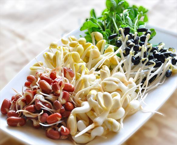 生產者圖片