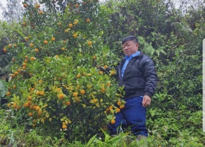生產者圖片