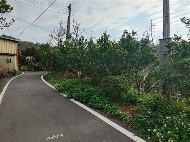 生產者圖片