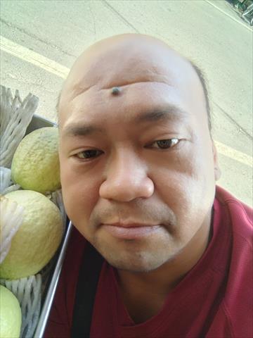 生產者圖片