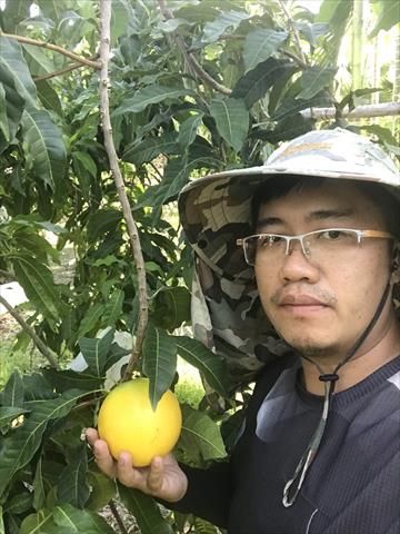 生產者圖片