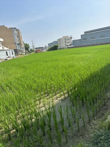 生產者圖片