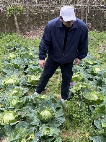 生產者圖片