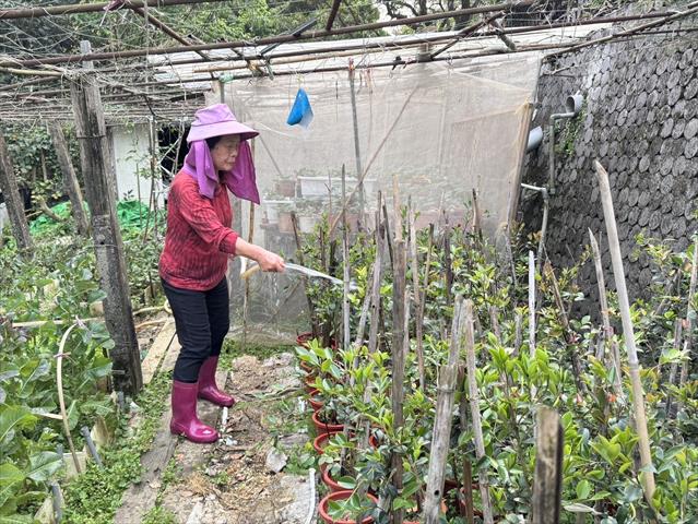 生產者圖片