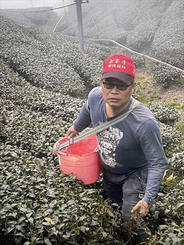 生產者圖片