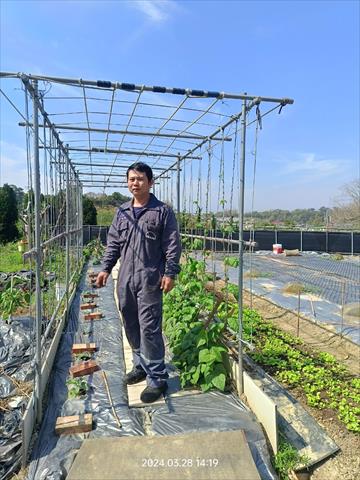 生產者圖片