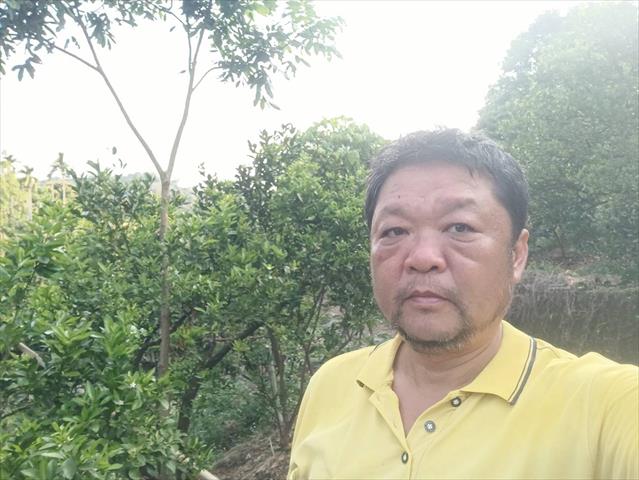 生產者圖片