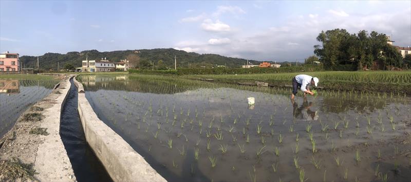 生產者圖片