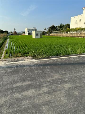 生產者圖片