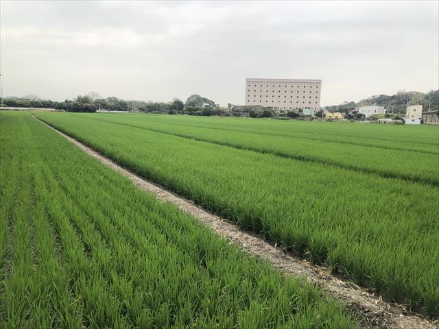 生產者圖片