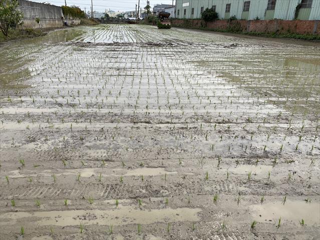 生產者圖片