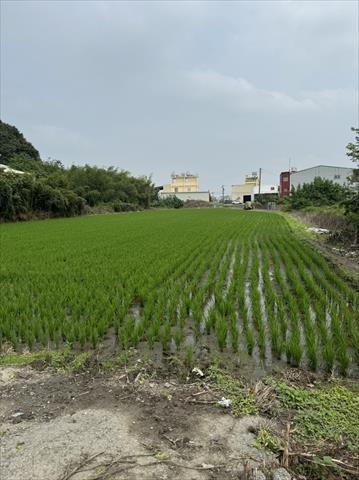 生產者圖片