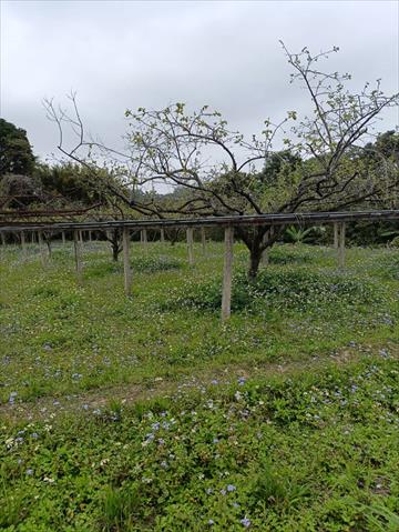 生產者圖片