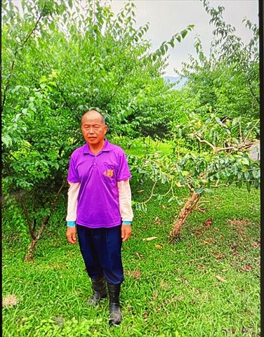 生產者圖片