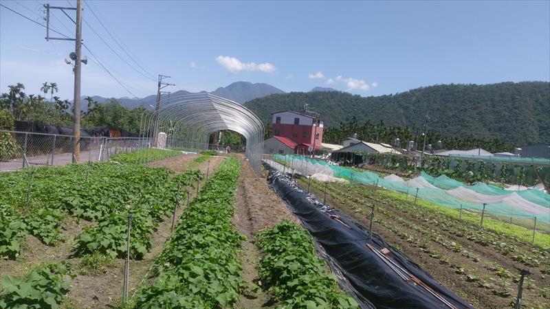生產者圖片