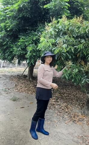 生產者圖片