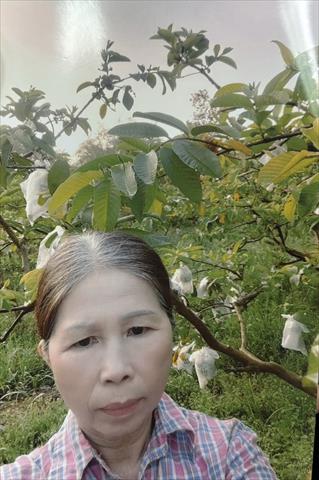 生產者圖片
