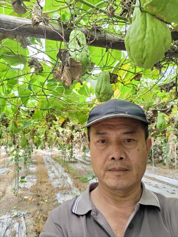 生產者圖片