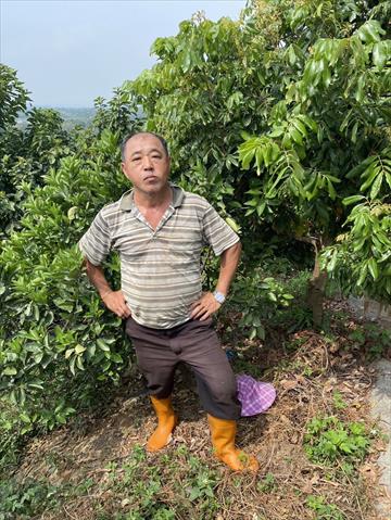 生產者圖片