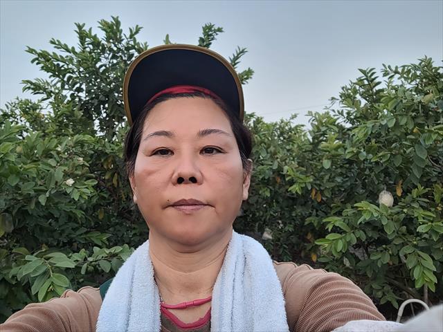 生產者圖片