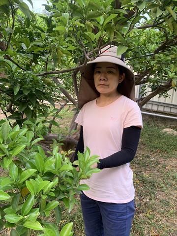 生產者圖片