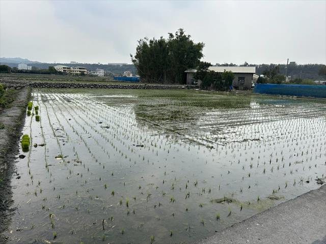 生產者圖片