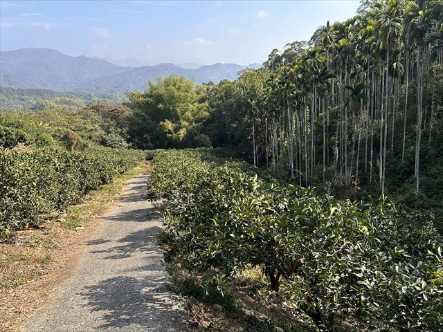 生產者圖片