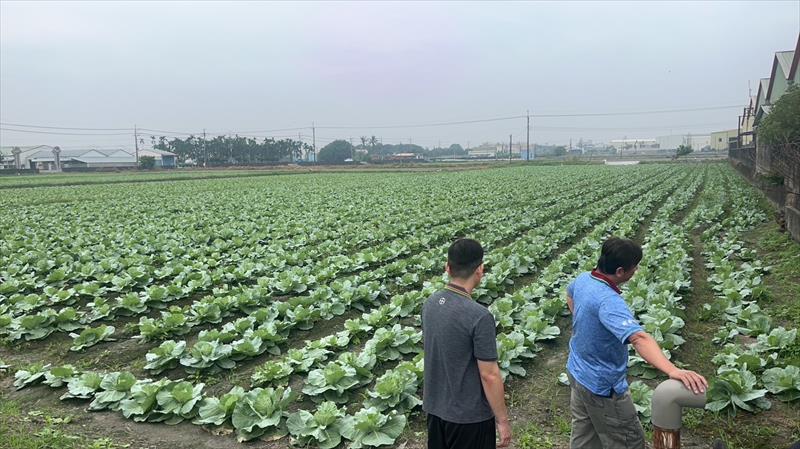 生產者圖片