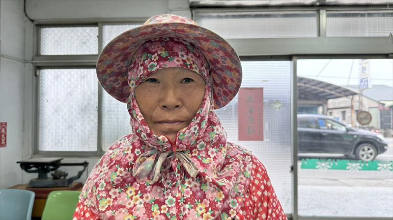 生產者圖片