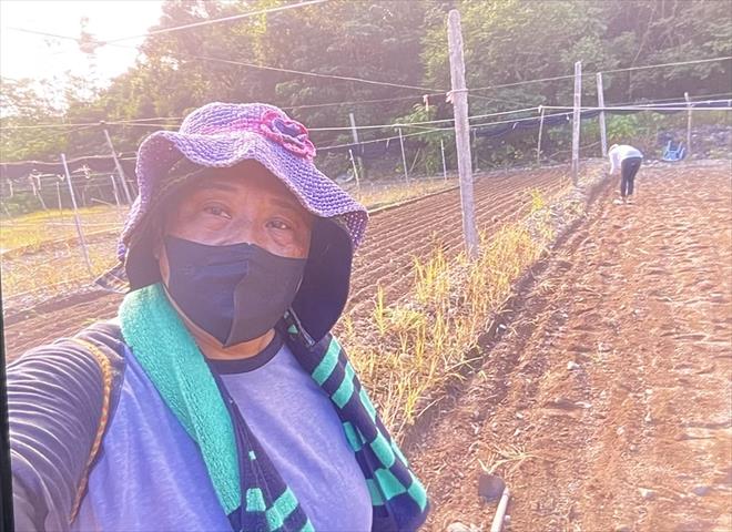 生產者圖片