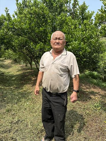 生產者圖片
