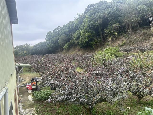 生產者圖片