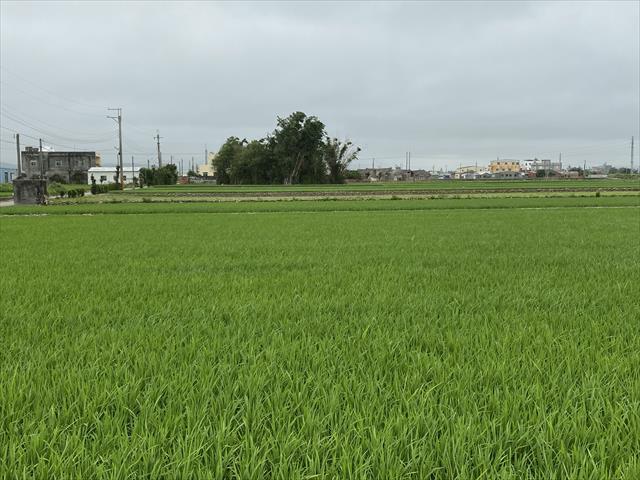 生產者圖片