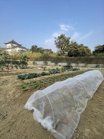 生產者圖片