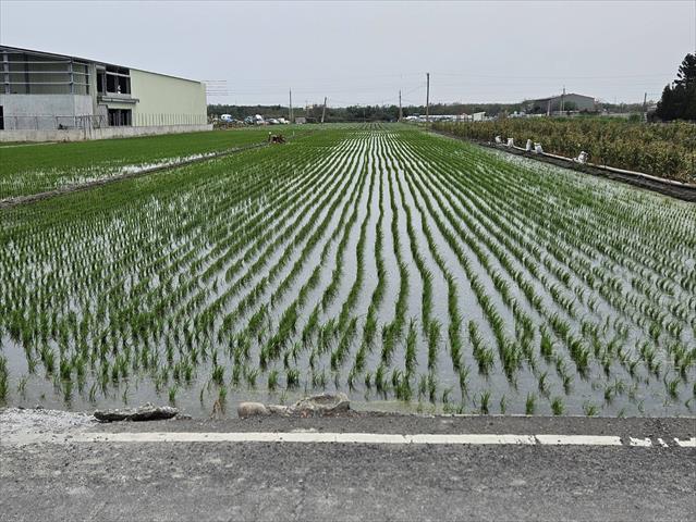 生產者圖片