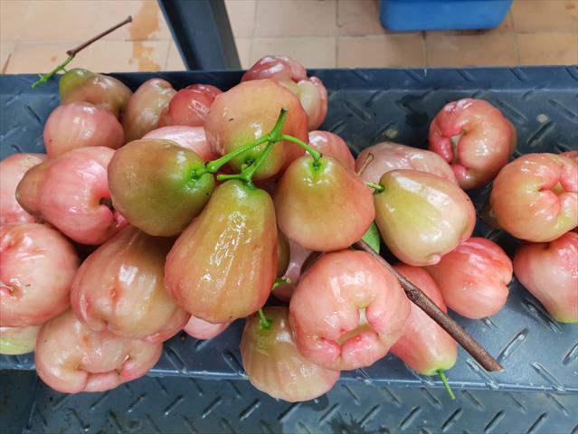 生產者圖片