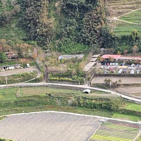 生產者圖片