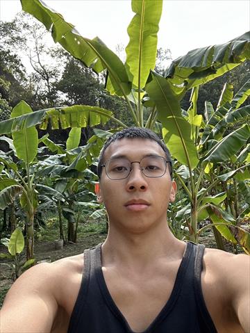 生產者圖片